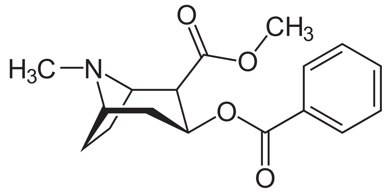 cocaina.png